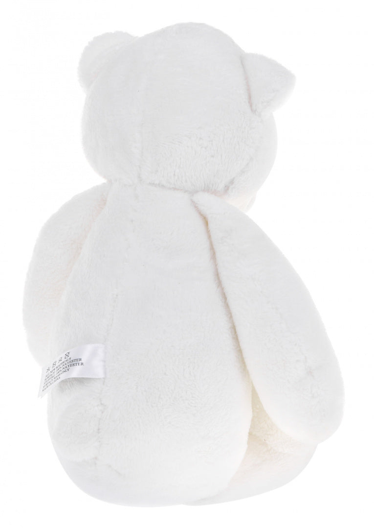 Teddy Bear With World Sounds Function