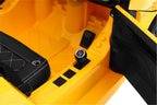 Vehicle AUDI R8 Spyder RS EVA 2 4 G Yellow