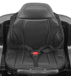 Vehicle BMW X6M Lacquered Black