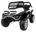 Mercedes BENZ UNIMOG