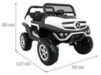 Mercedes BENZ UNIMOG