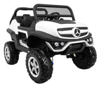 Mercedes BENZ UNIMOG