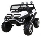 Mercedes BENZ UNIMOG