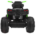 Vehicle Quad ATV 2 4 G BDM0906 black and green