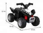 Vehicle Quad Honda