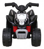 Vehicle Quad Honda