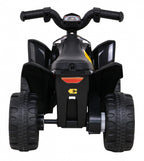 Vehicle Quad Honda