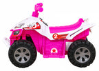 Vehicle Quad THE FASTEST Pink