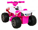 Vehicle Quad THE FASTEST Pink