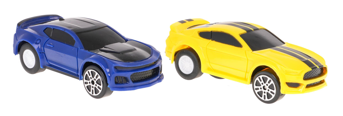 Race Track For Two Cars