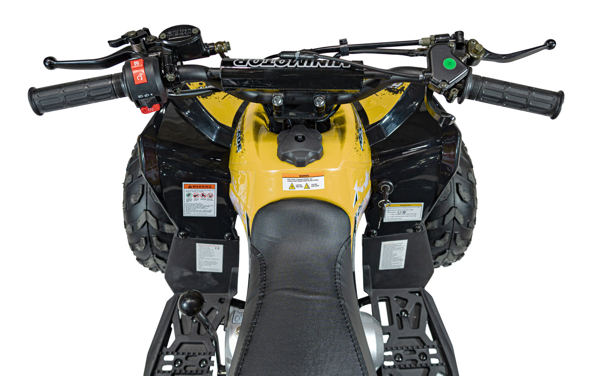 RENEGADE 110CC Gas Powered Vehicles Yellow