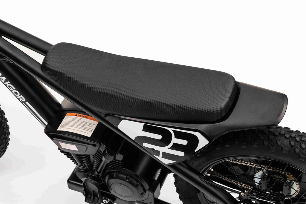 Elektrická motorka BAIGOR 23 PRO čierna