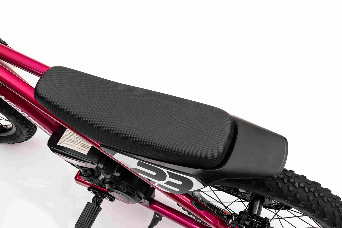 Motor BAIGOR 23 PRO Pink