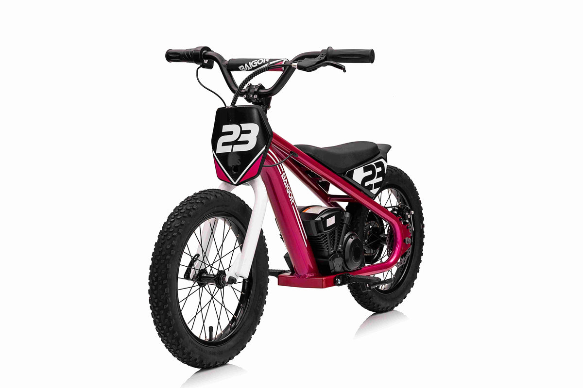 Motor BAIGOR 23 PRO Pink