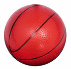 Basketball 205cm + Accessories