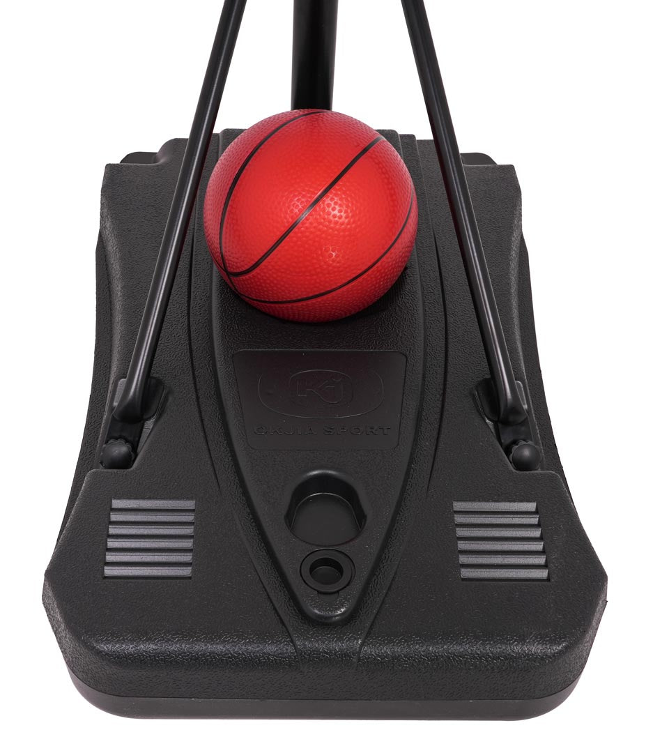 Basketball 205cm + Accessories