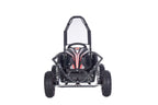 Electric Gokart Vehicle MAIGHTY Black