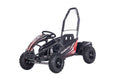 Electric Gokart Vehicle MAIGHTY Black