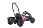 Electric Gokart Vehicle MAIGHTY Black