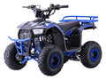 Quad Bike Petrol 110CC EXPLORER Blue