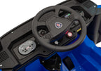 Scania R-SERIE vehicle Blue