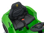 Vehicle Lamborghini Revuelto Green