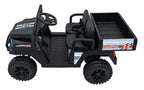 Champion Black Pick-Up Vehicle
