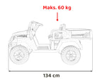Champion Black Pick-Up Vehicle