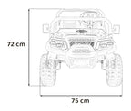 Champion Black Pick-Up Vehicle