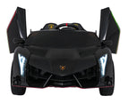 Vehicle Lamborghini Veneno Black