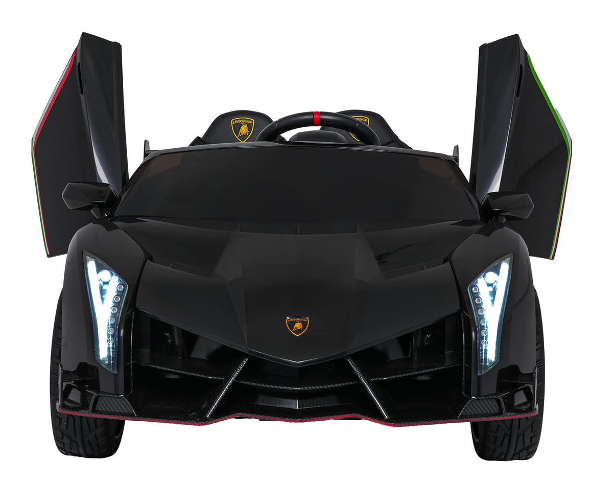 Vehicle Lamborghini Veneno Black