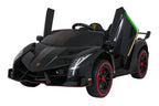 Vehicle Lamborghini Veneno Black