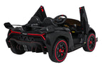 Vehicle Lamborghini Veneno Black