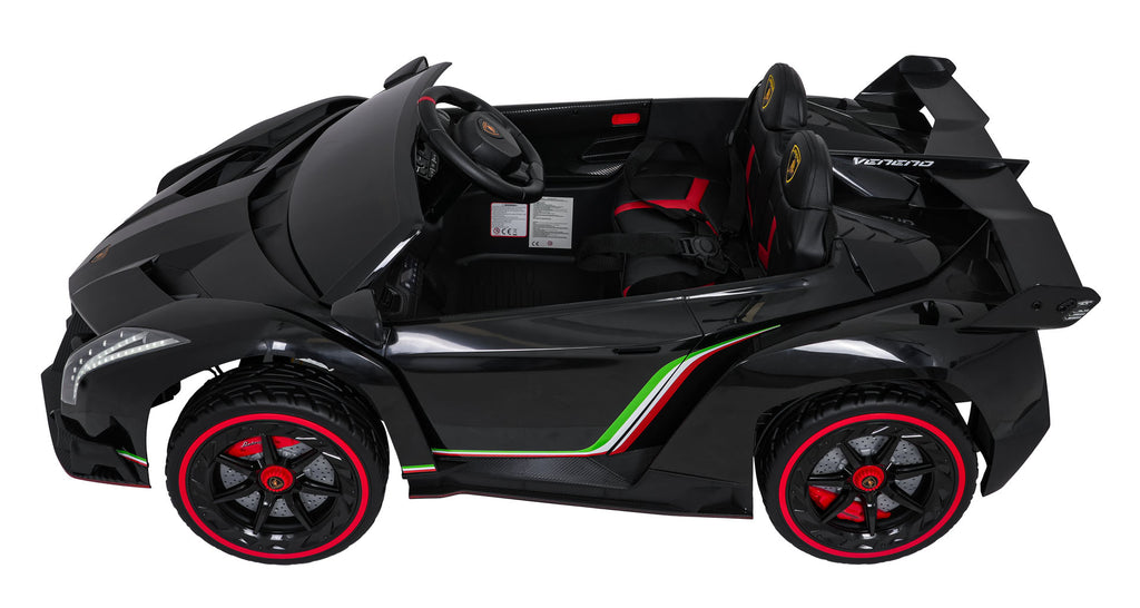 Vehicle Lamborghini Veneno Black