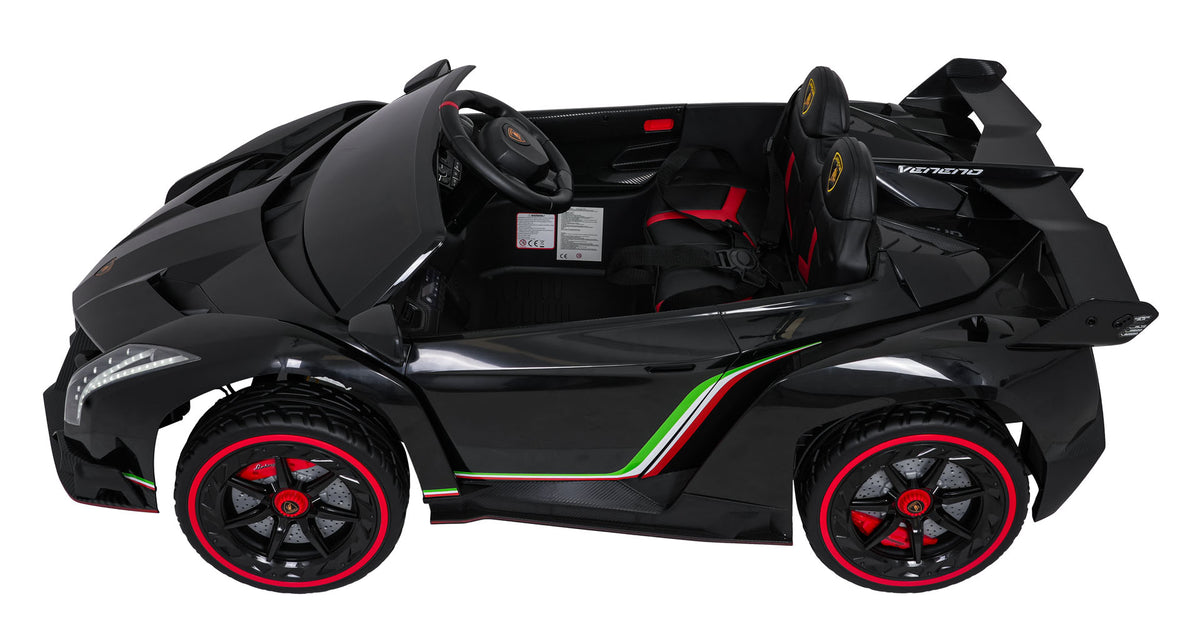 Vehicle Lamborghini Veneno Black