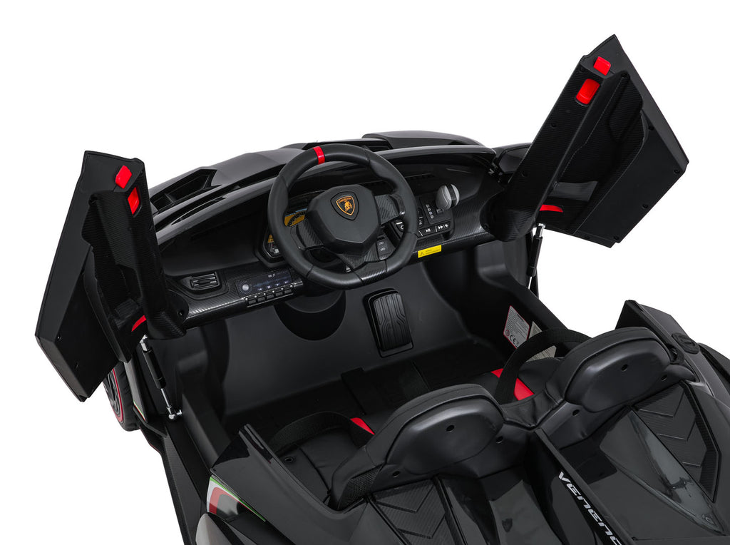 Vehicle Lamborghini Veneno Black