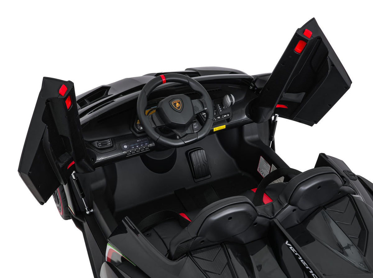 Vehicle Lamborghini Veneno Black