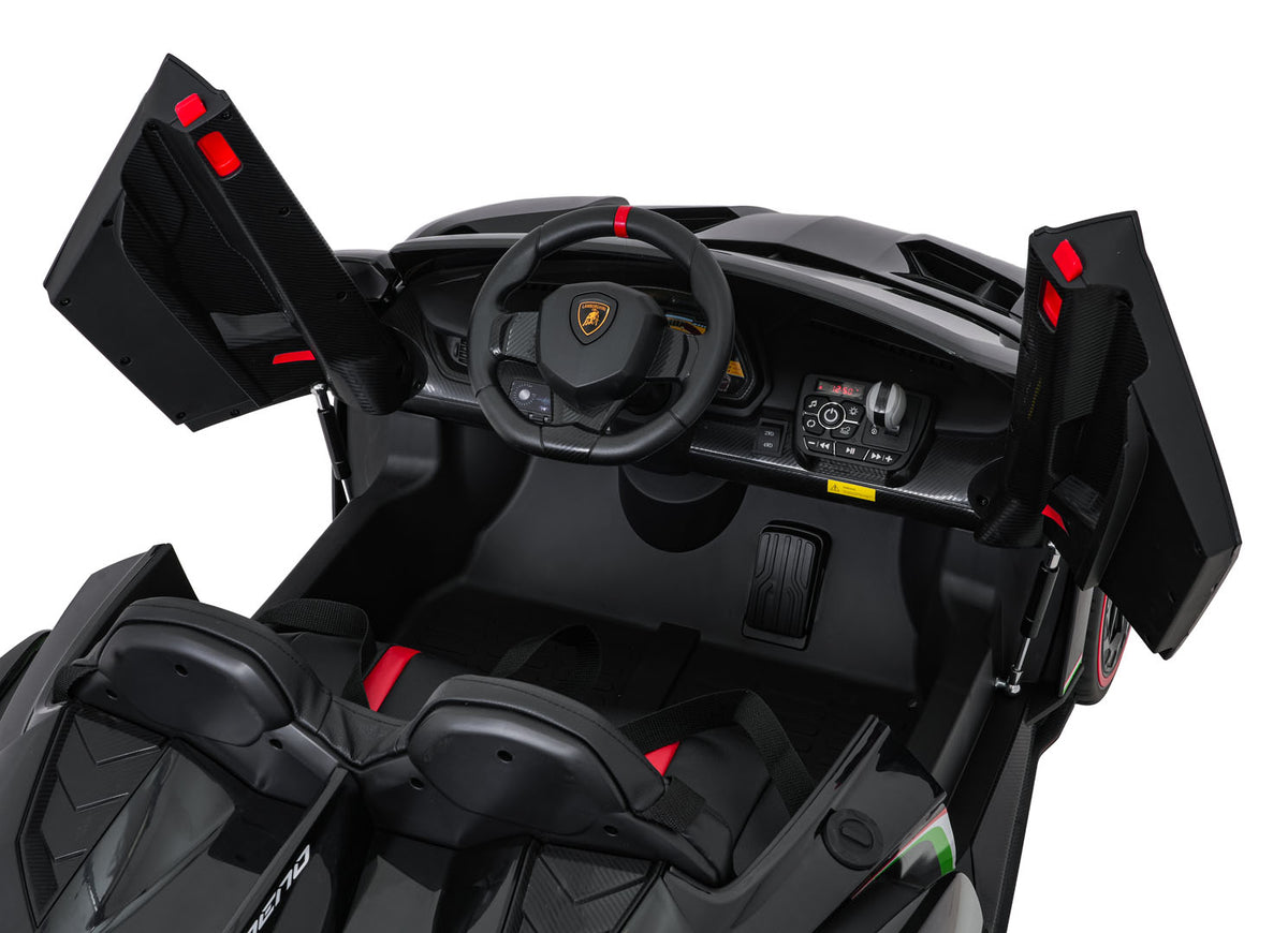 Vehicle Lamborghini Veneno Black