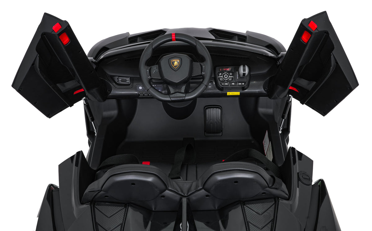 Vehicle Lamborghini Veneno Black