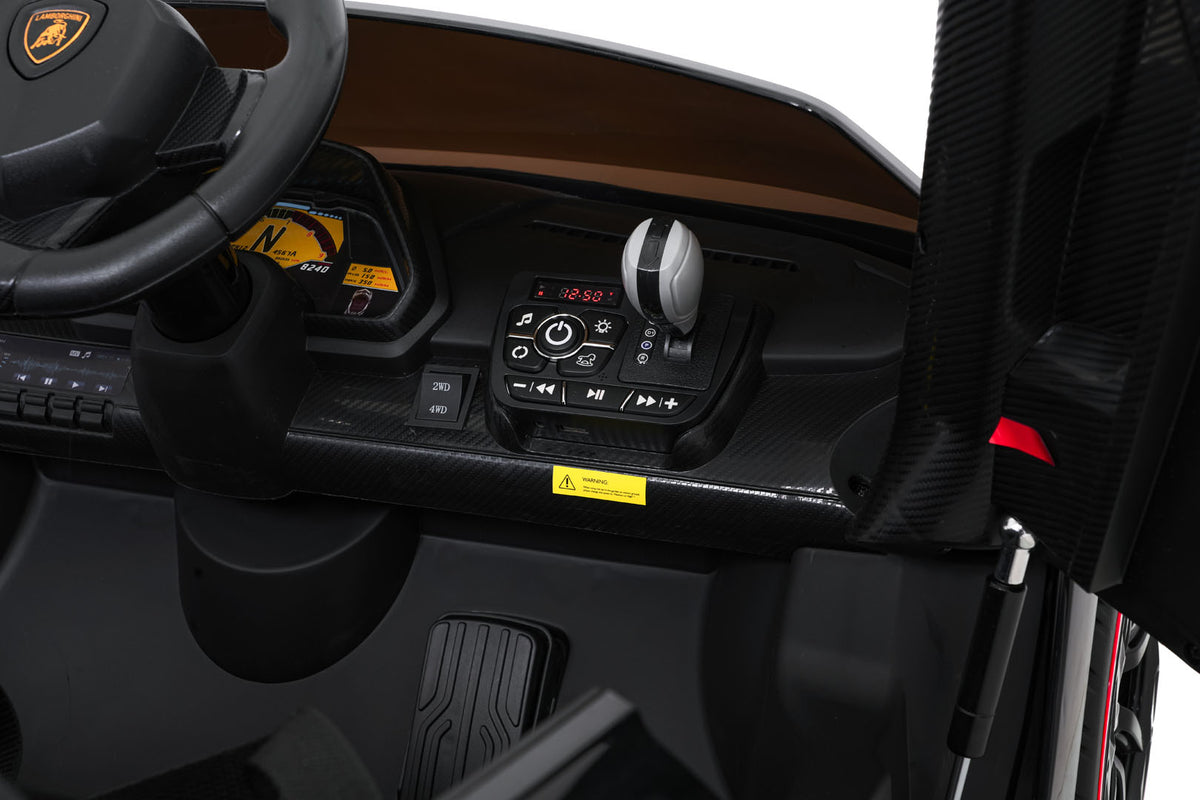 Vehicle Lamborghini Veneno Black