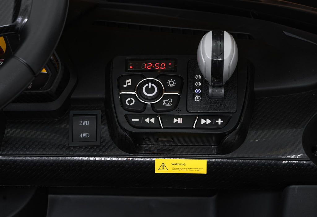 Vehicle Lamborghini Veneno Black