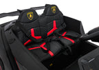 Vehicle Lamborghini Veneno Black