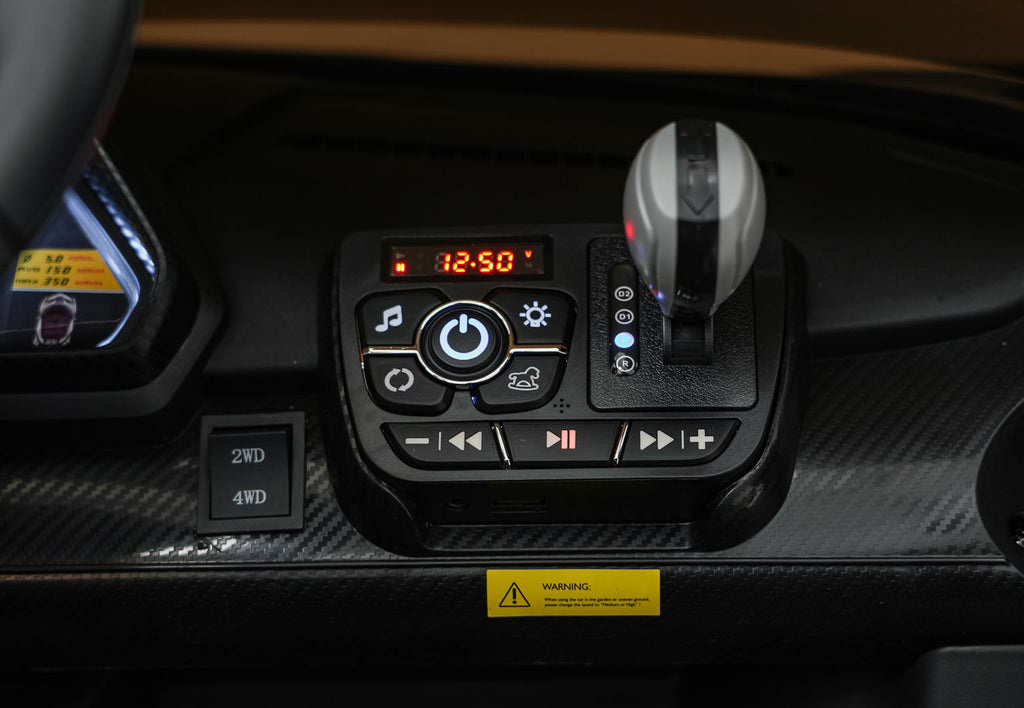 Vehicle Lamborghini Veneno Black