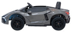 Vehicle Lamborghini Revuelto XL STRONG Gray