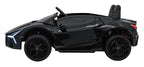 Lamborghini Revuelto XL Black vehicle