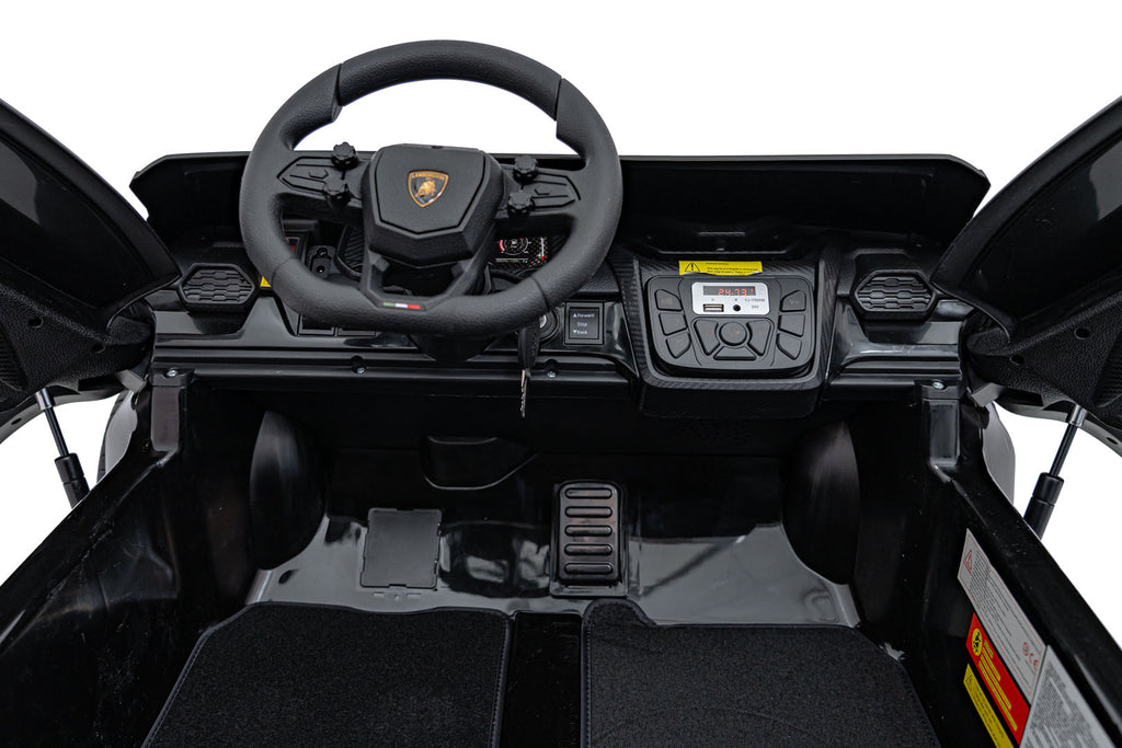 Lamborghini Revuelto XL Black vehicle