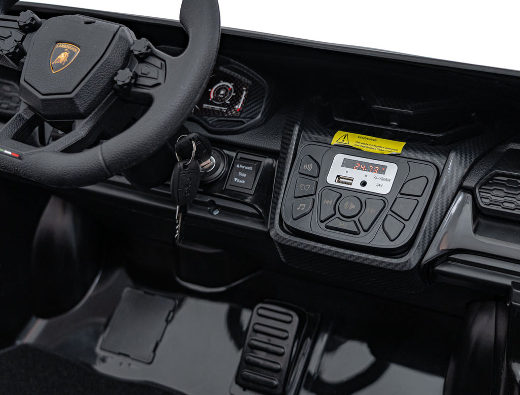 Lamborghini Revuelto XL Black vehicle
