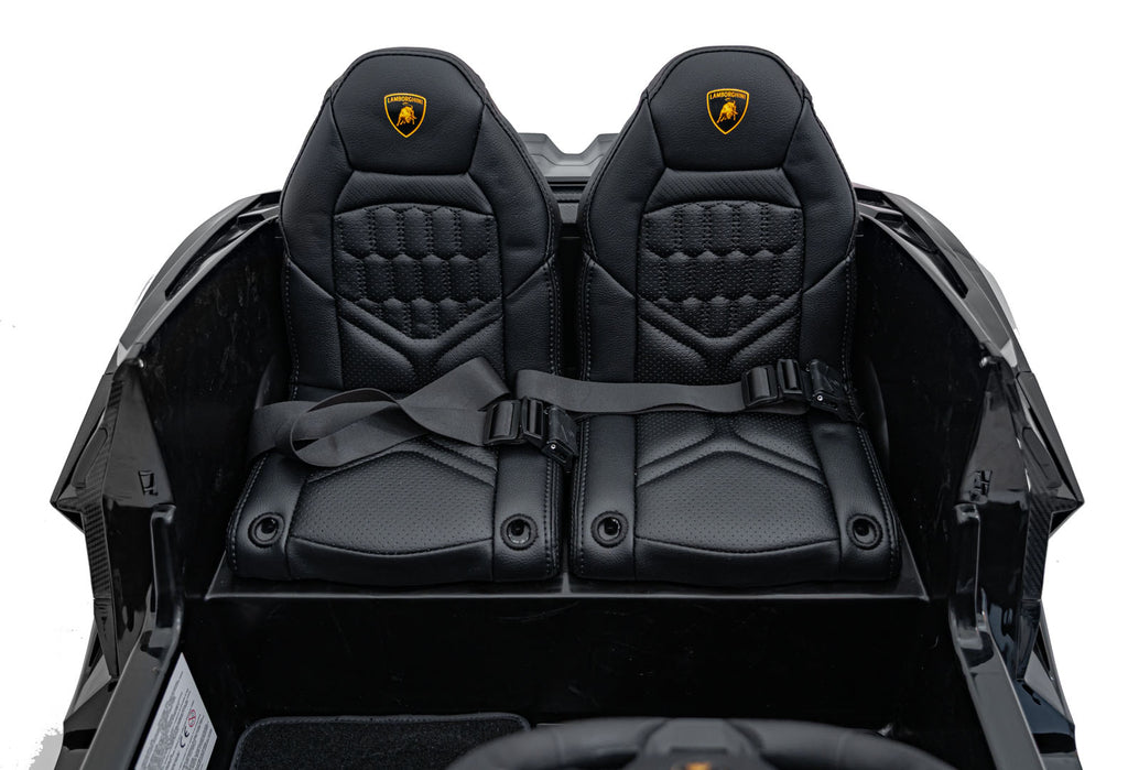 Lamborghini Revuelto XL Black vehicle