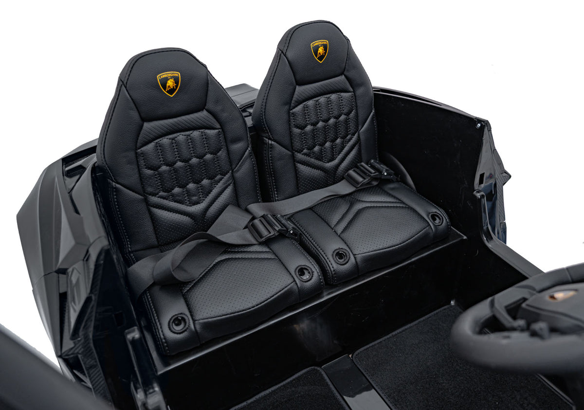 Lamborghini Revuelto XL Black vehicle