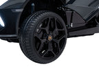 Lamborghini Revuelto XL Black vehicle